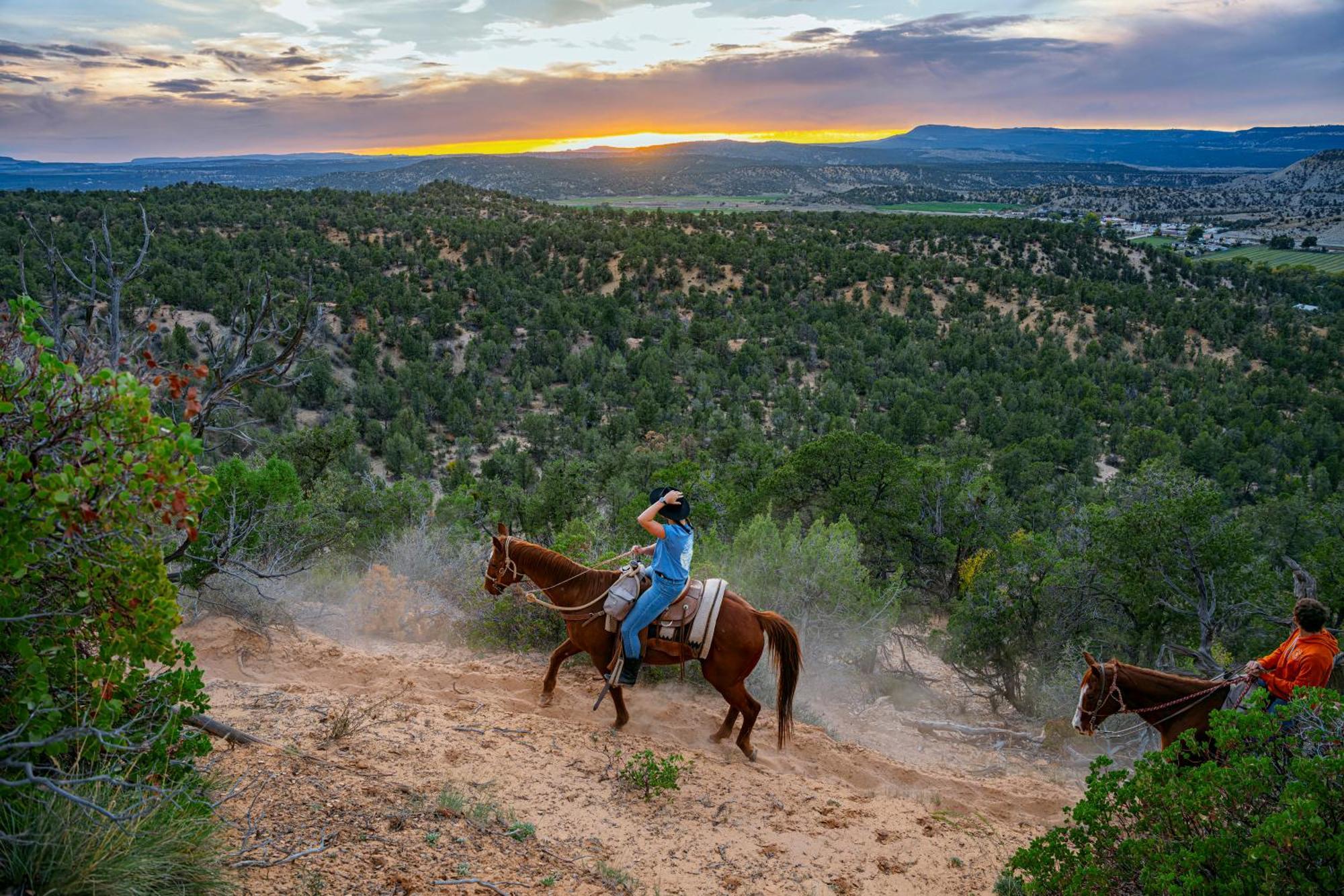 Zion Ponderosa Ranch Resort Springdale Eksteriør billede